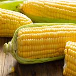 Iran Sweet Corn for Export In The Cooperation Price