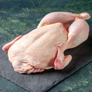 Wholesale Frozen Chicken In Best Price