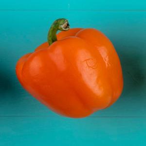 Red Bell Peppers Wholesale Suppliers In Iran