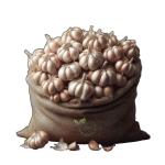 Fresh Iran Garlic For Wholesale in Best Price Order Now