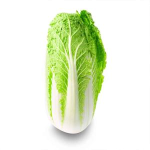 Fresh Iranian Lettuce For Export In Bulk Best Price