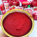 High Quality Of Tomato Paste Can Wholesale Order In Manufacture (4000GR)