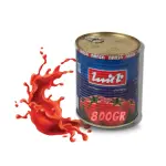 Tomato Paste Concentrate Wholesale In Iran Order Now