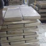 Lizard Fish For Export In The Best Price