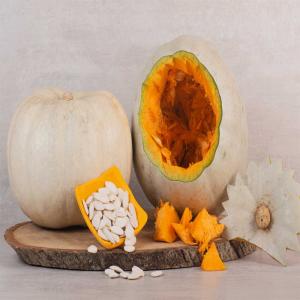 Premium Hot-Dried Pumpkin – Natural, Nutritious & Ready for Export