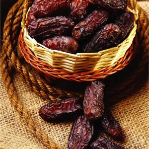 Wholesale Iranian Chocolate Dates at Best Prices