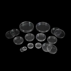 GPPS 1560 Export – Transparent Polystyrene for Plastic at Best Prices