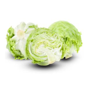 Wholesale Iceberg Lettuce – Fresh Bulk Export at Best Prices