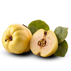 Iranian Quince for Export – Affordable Prices, Premium Quality