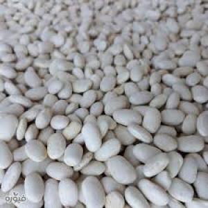 Kyrgyzstani White Beans Wholesale – Premium Export-Grade Legumes