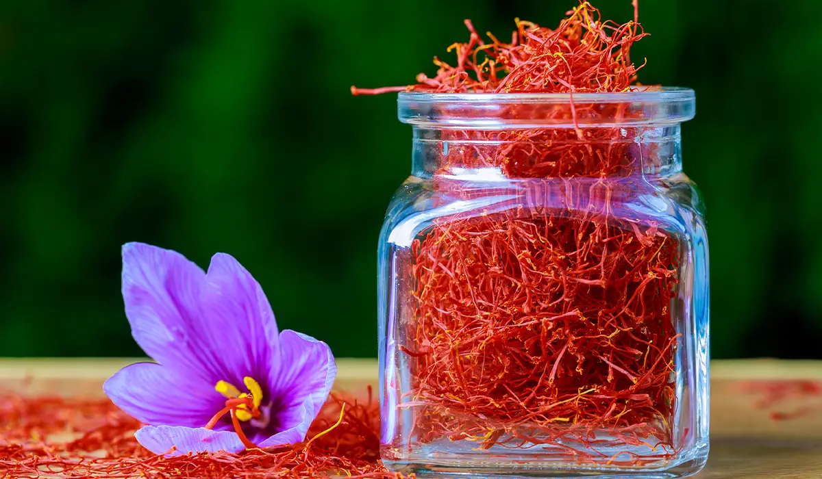 Persian Saffron Anticancer Properties Wholesale,Supplirer