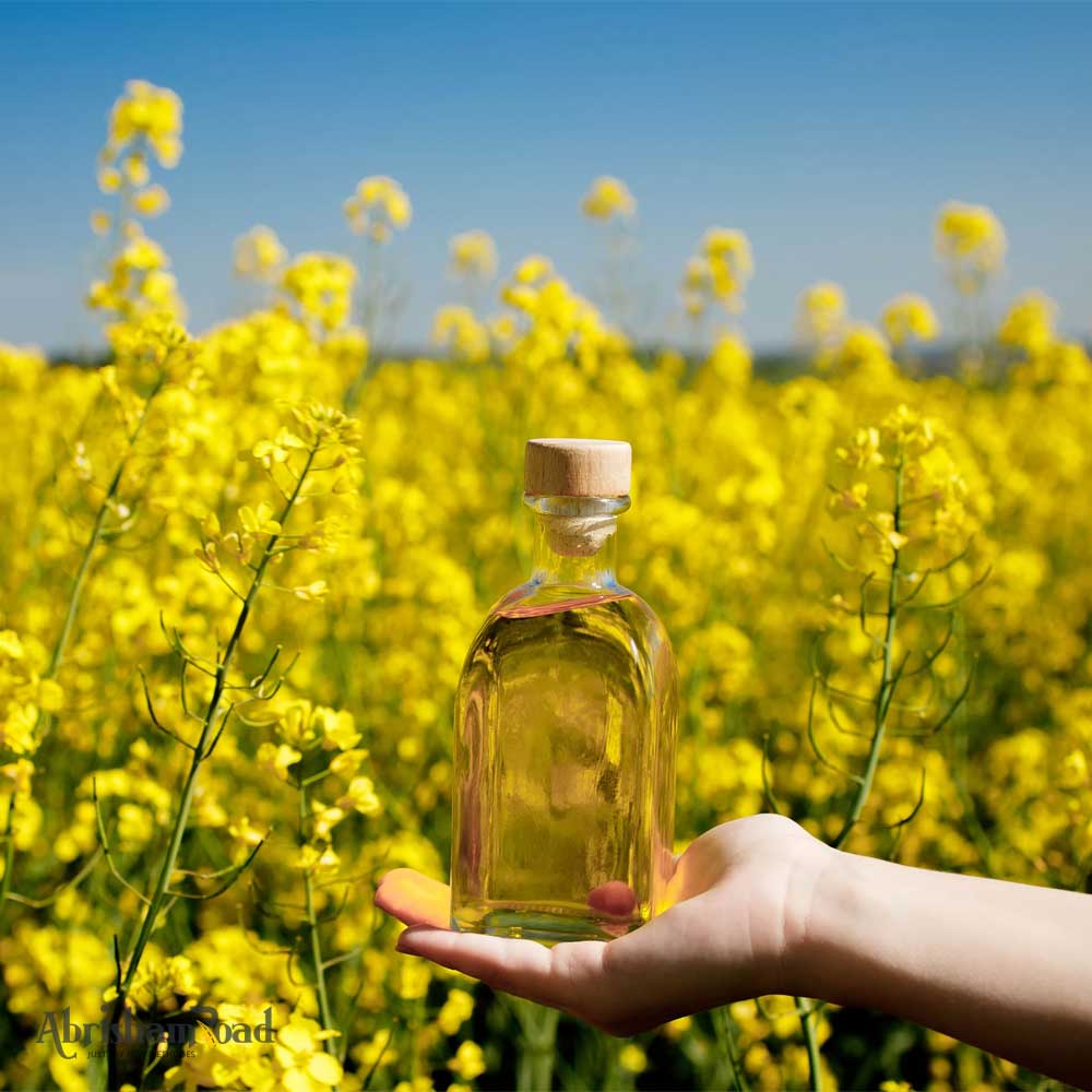 Canola Oil, Pure Refined Oil High-Quality Distributor in Bulk Iran