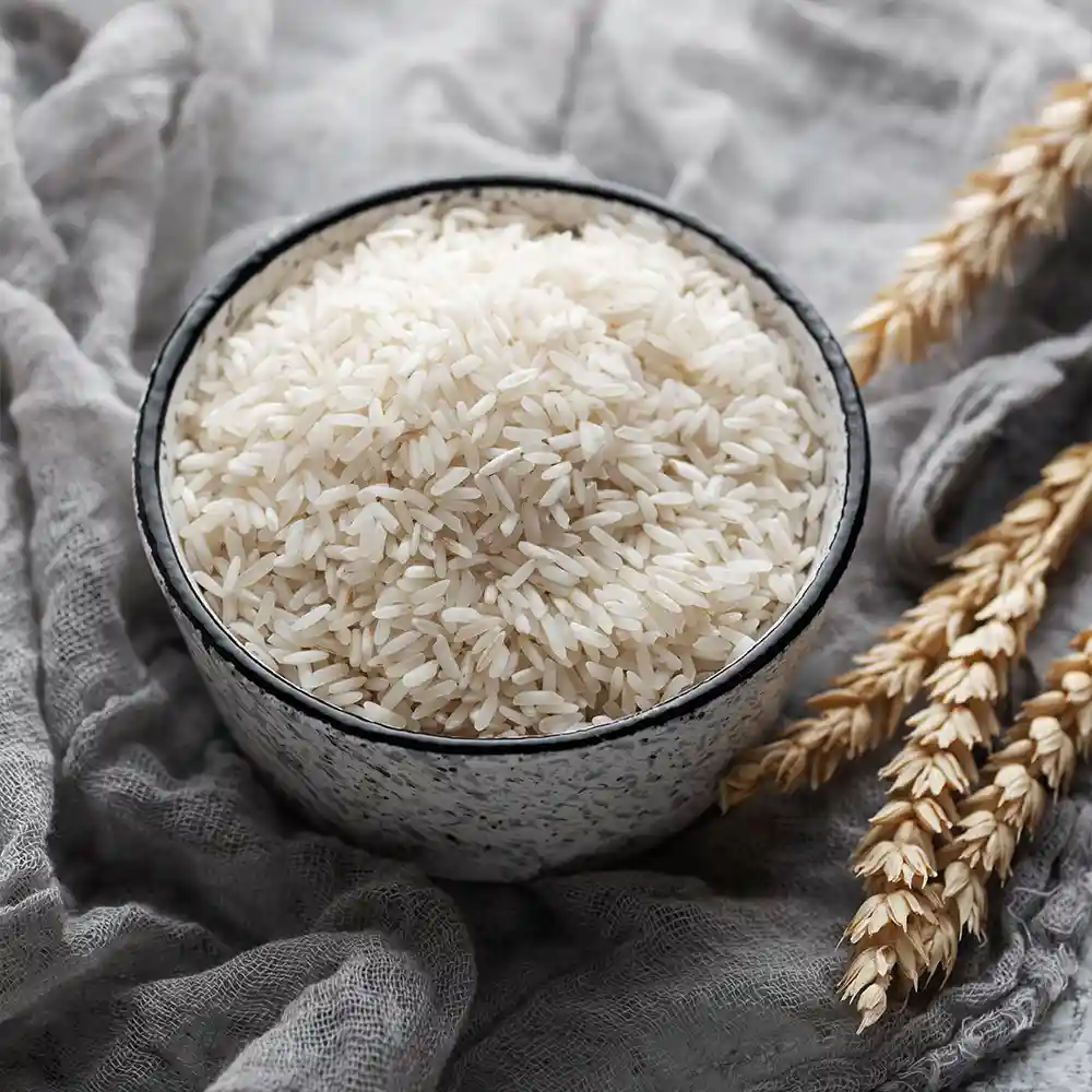 Iranian Rice Manufacture Whit High-Quality in Iran