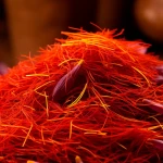 Iranian Pushal Saffron For Export In Best GOOD Price