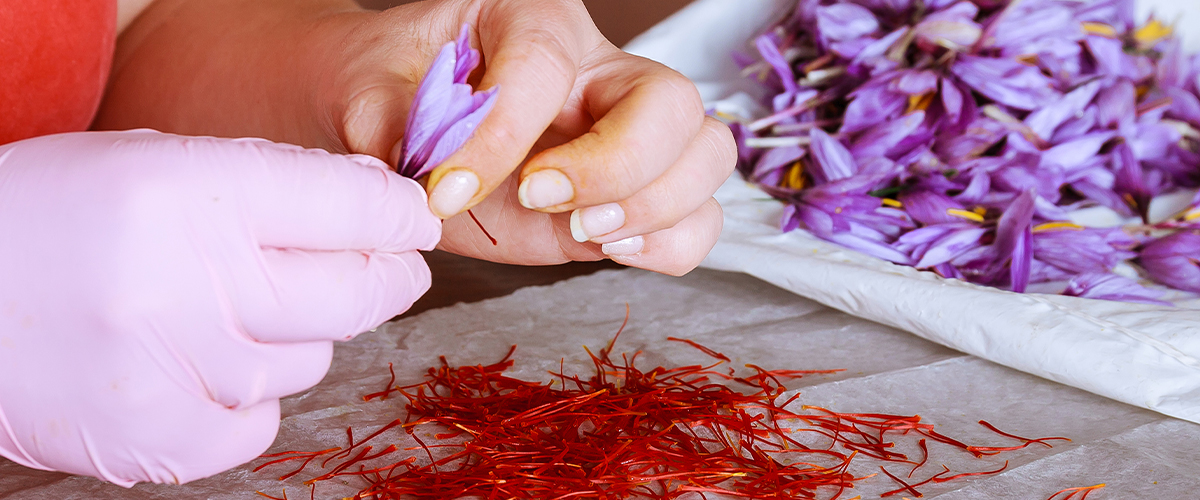 Saffron,Wholesale,Supplirer-(8)