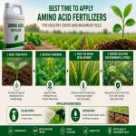 Best Time to Apply Amino Acid Fertilizers for Maximum Crop Yield