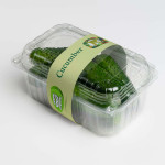 Cucumbers, High Quality, Tezah Vegetables Fruit Wholesale Supplier