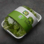 Lettuce, Competitive Pricing, Tezah Vegetables Fruit Wholesale Supplier