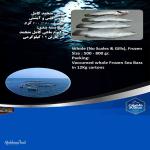 Skin-on Fish Fillet No Middle Bone, Delightful, Wholesale Fresh Product