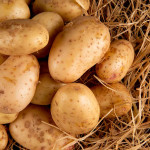 Potato, Nutrient Rich Goodness, Green Farms Fruit & Vegetable Wholesale Producer