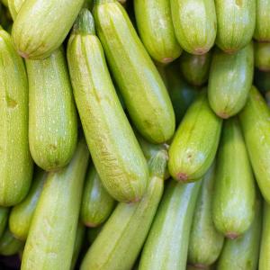 Iranian Zucchini For Export In Wholesale Best Prices