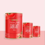 Tomato Sauce, wholesale Organic Tomato, Persian Canned Food 4200GR