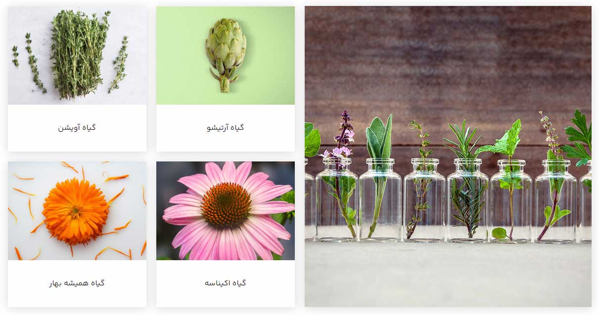 dineh-iran-industrial-complex-herbals.jpg