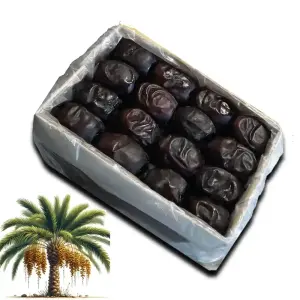 Mazafati Wholesale & Supplier of Iran