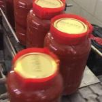 Tomato Paste In Jar Wholesale In Iran (700GR) Order Now Premium Quality