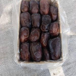 Mazafati Dates for Export – High-Quality Bulk Supply