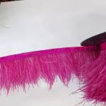 Ostrich Feather Trim Wholesale Supplier Available in Stock Coloring Small (10cm)
