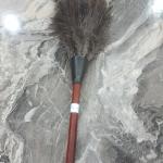Export Ostrich feather dusters in Iran