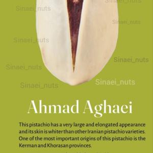 Ahmad Aghaei Pistachio Available in bulk order | Iranian Ahmad Aghaei Pistachio Wholesale & Supply