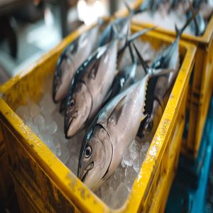 Persian Gulf Fishing Manufacturer