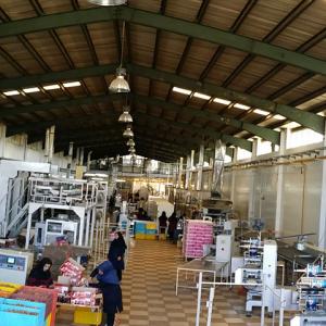 POOKPOOK Food Industry