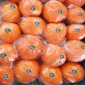 Bitter Orange for Export – Bulk Wholesale Supplier | High-Quality Essential Oils & Food-Grade Citrus