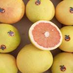 Premium Iranian Grapefruit Export – Wholesale Supplier | Fresh & High-Quality Citrus