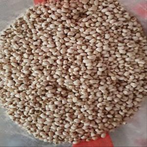 Uzbek Black-Eyed Beans in 25 kg bags– Quality, Nutrition, Affordability