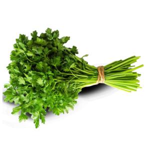 Iranian Fresh Parsley Export | Bulk Supply with Global Delivery
