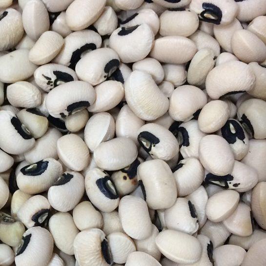 zavageneraltrading Co