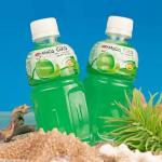 Melon Drink Export from Iran | Wholesale Price & Supply