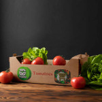 Tomato, Diverse Varieties, Tezah Vegetables Fruit wholesale supplier